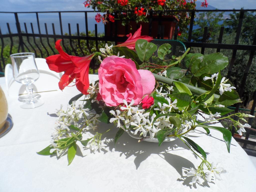 Ancelle Sorrento - Casa D'Accoglienza Hotel Castellammare di Stabia Bagian luar foto